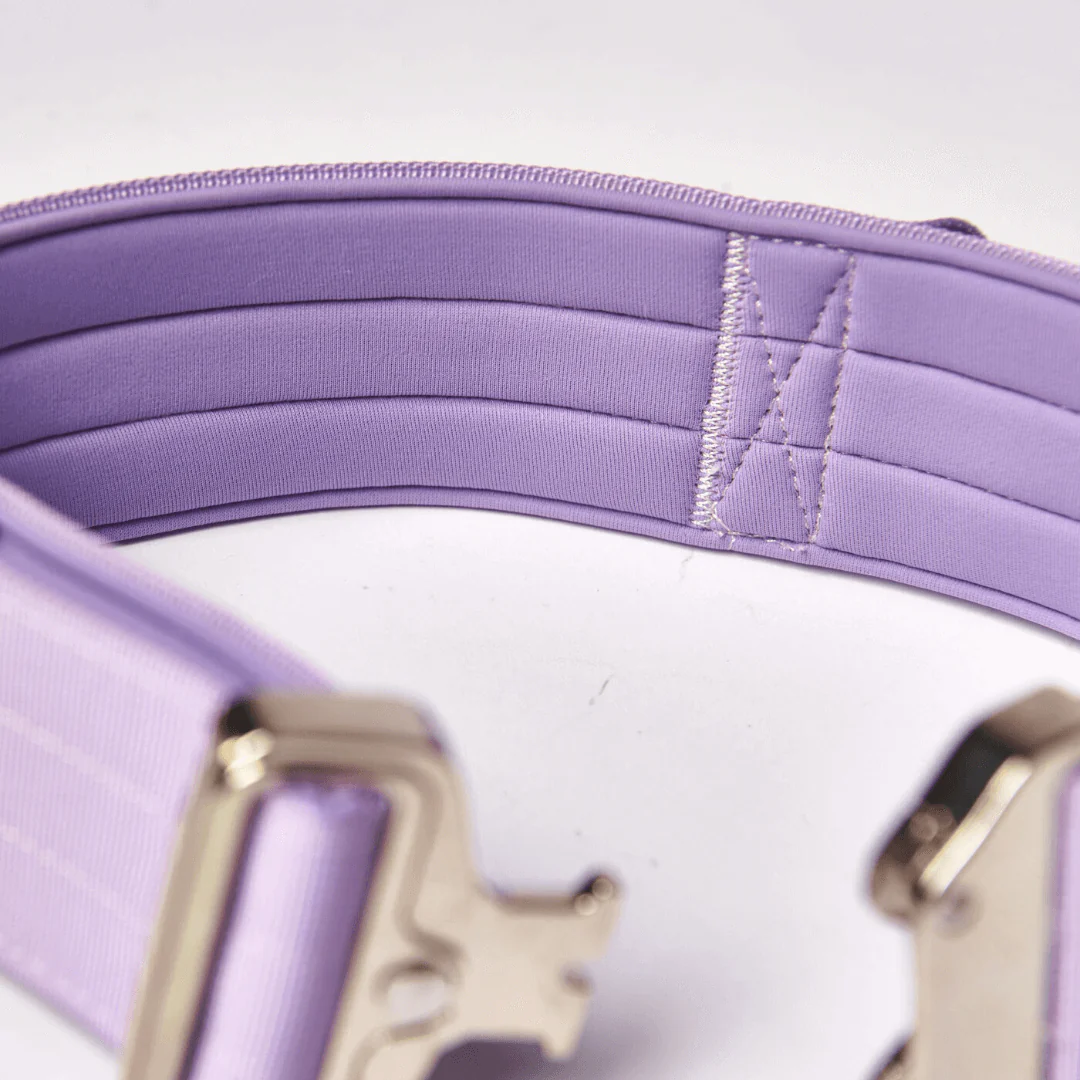 Comfort Control Dog Collars - Image 78