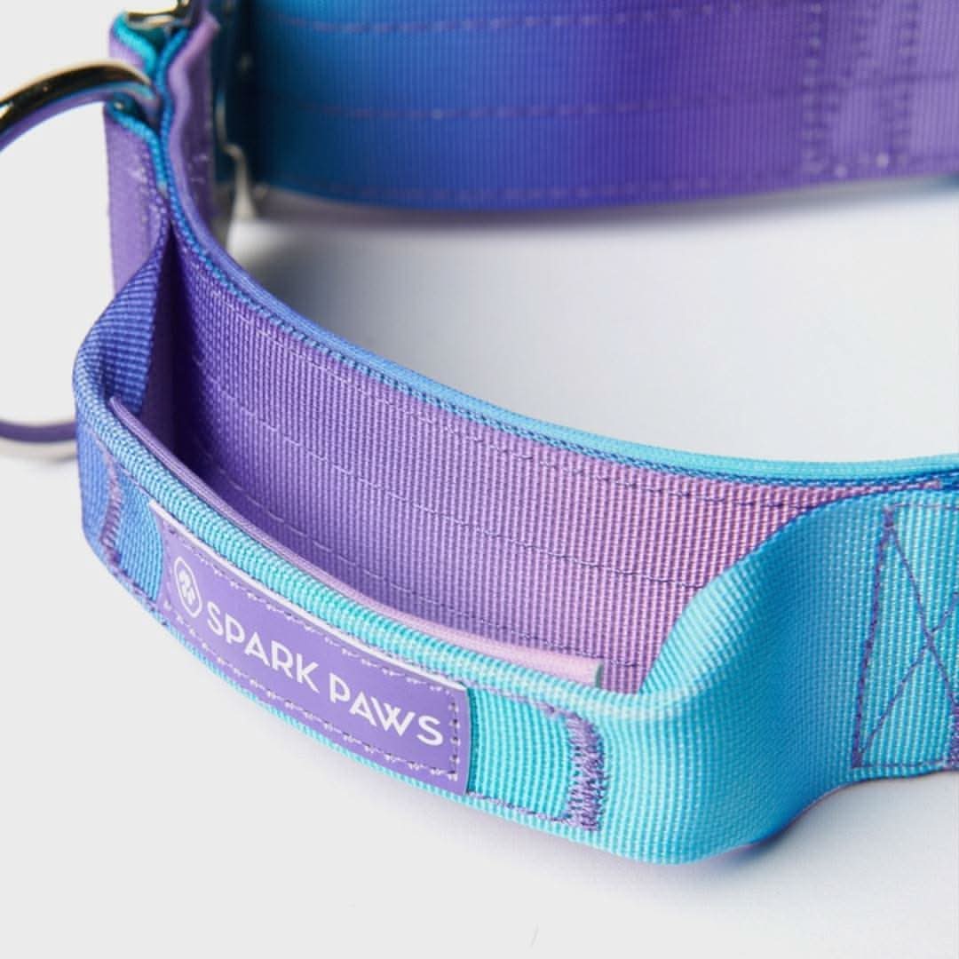 Comfort Control Dog Collars - Image 8