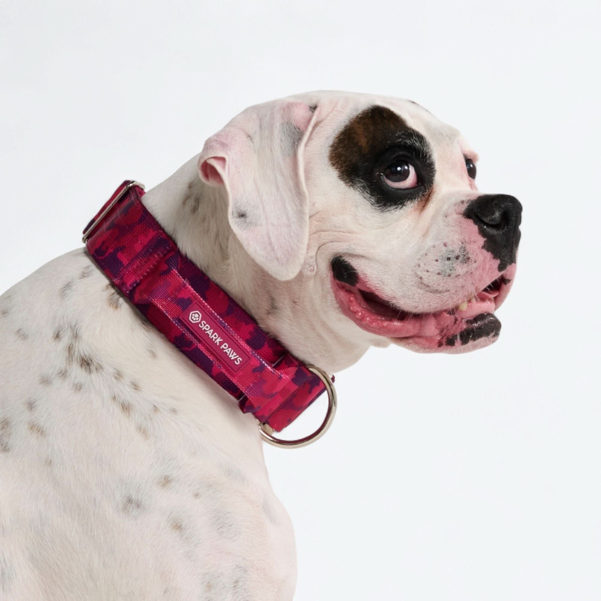 Comfort Control Dog Collars - Image 85