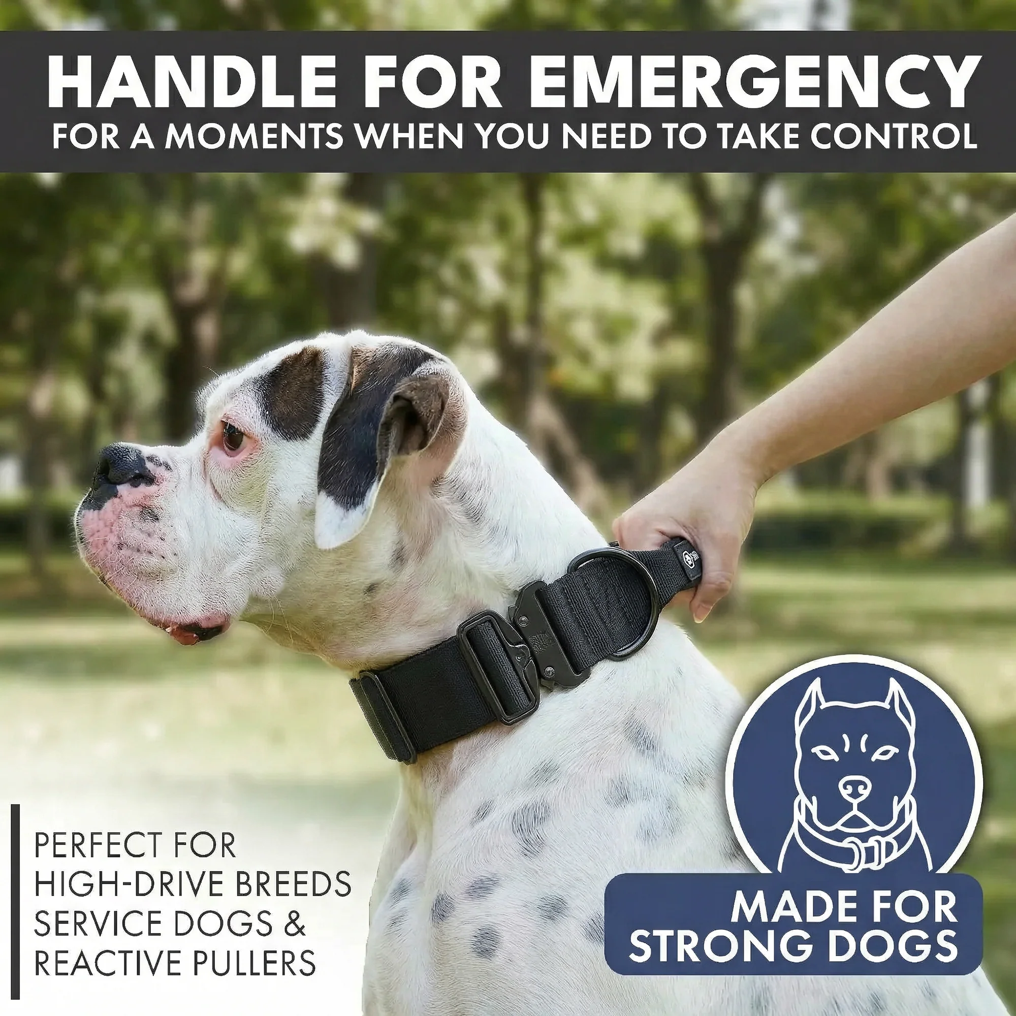 Comfort Control Collar - Black - Image 3