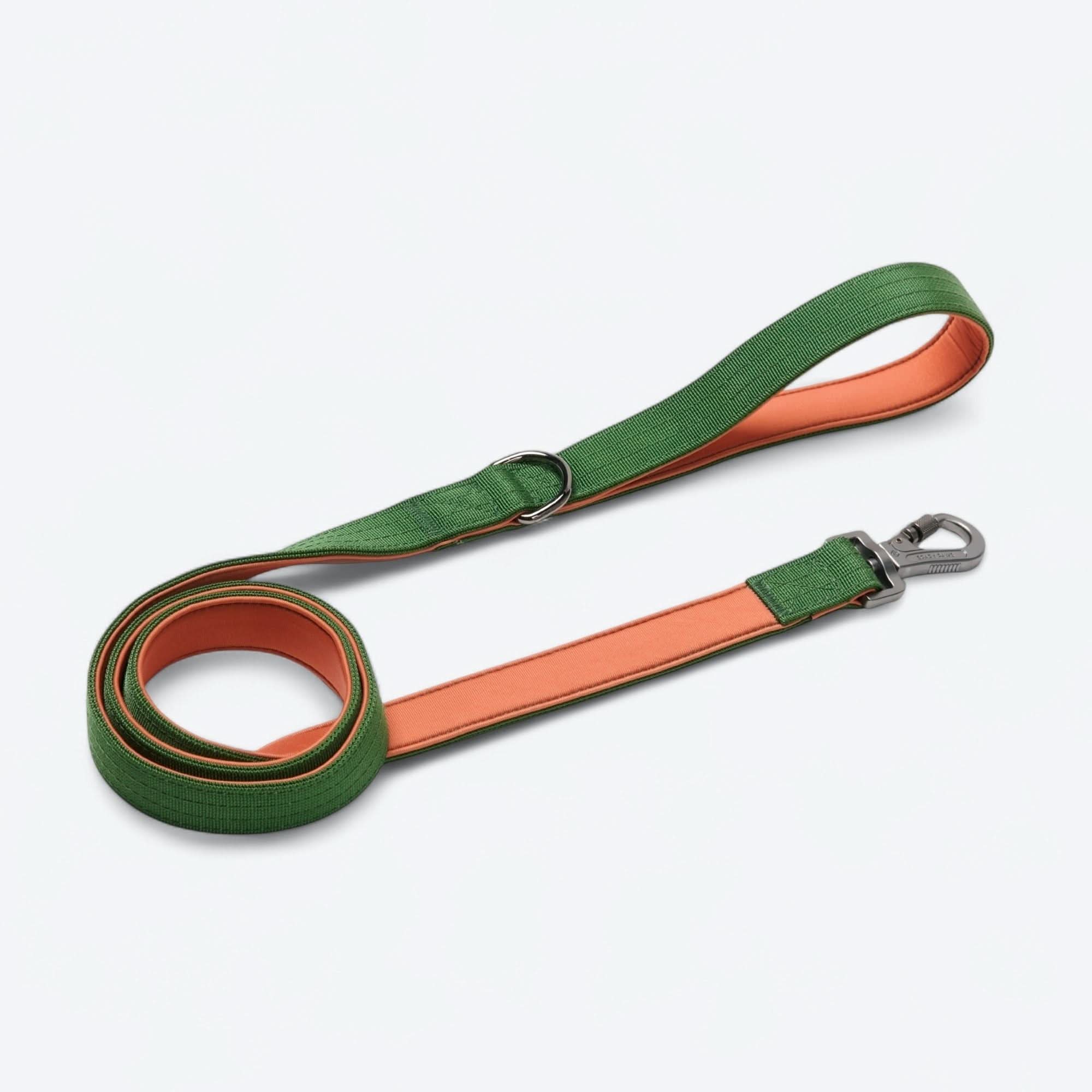Comfort Control Collar - Green Orange - Image 5