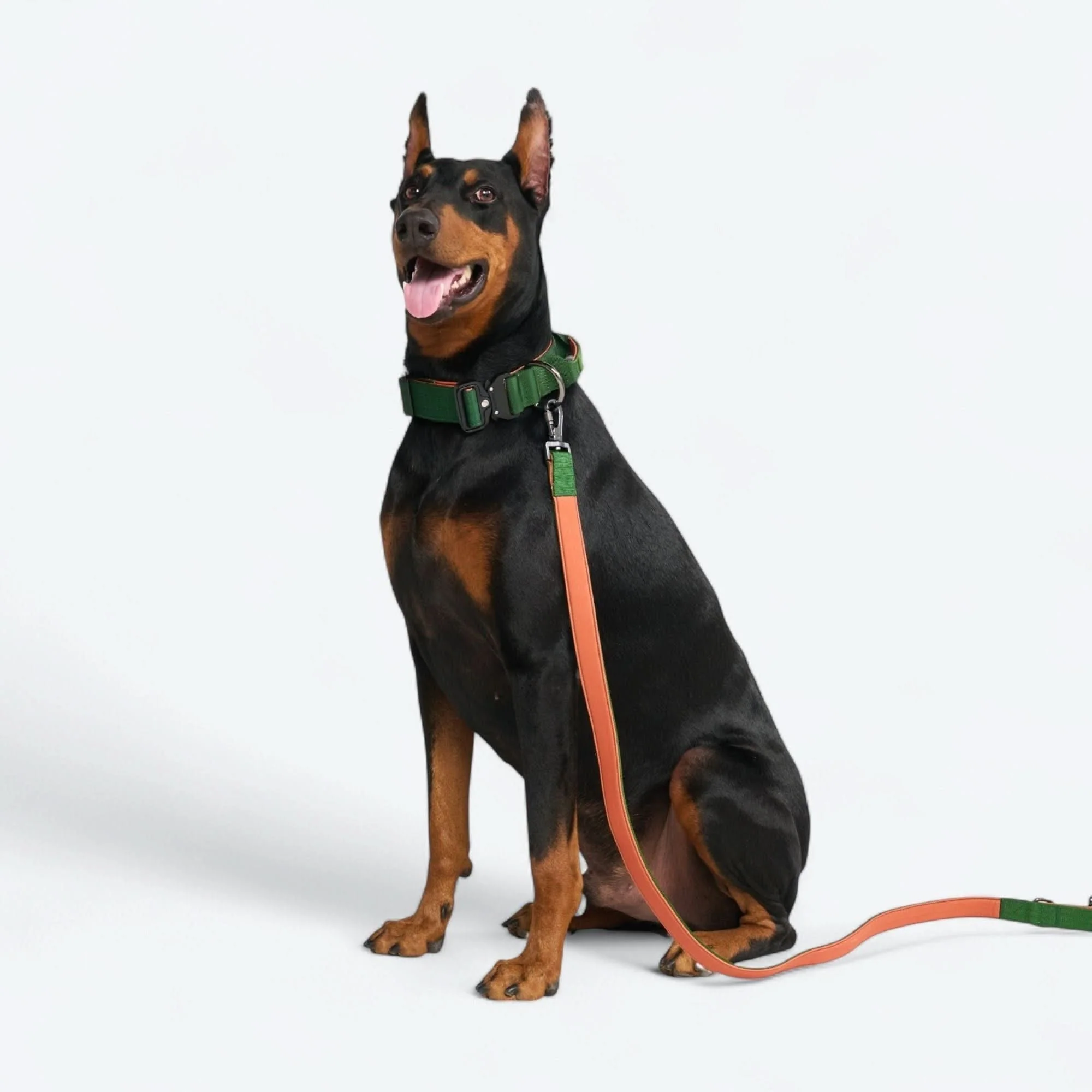 Comfort Control Collar - Green Orange - Image 6