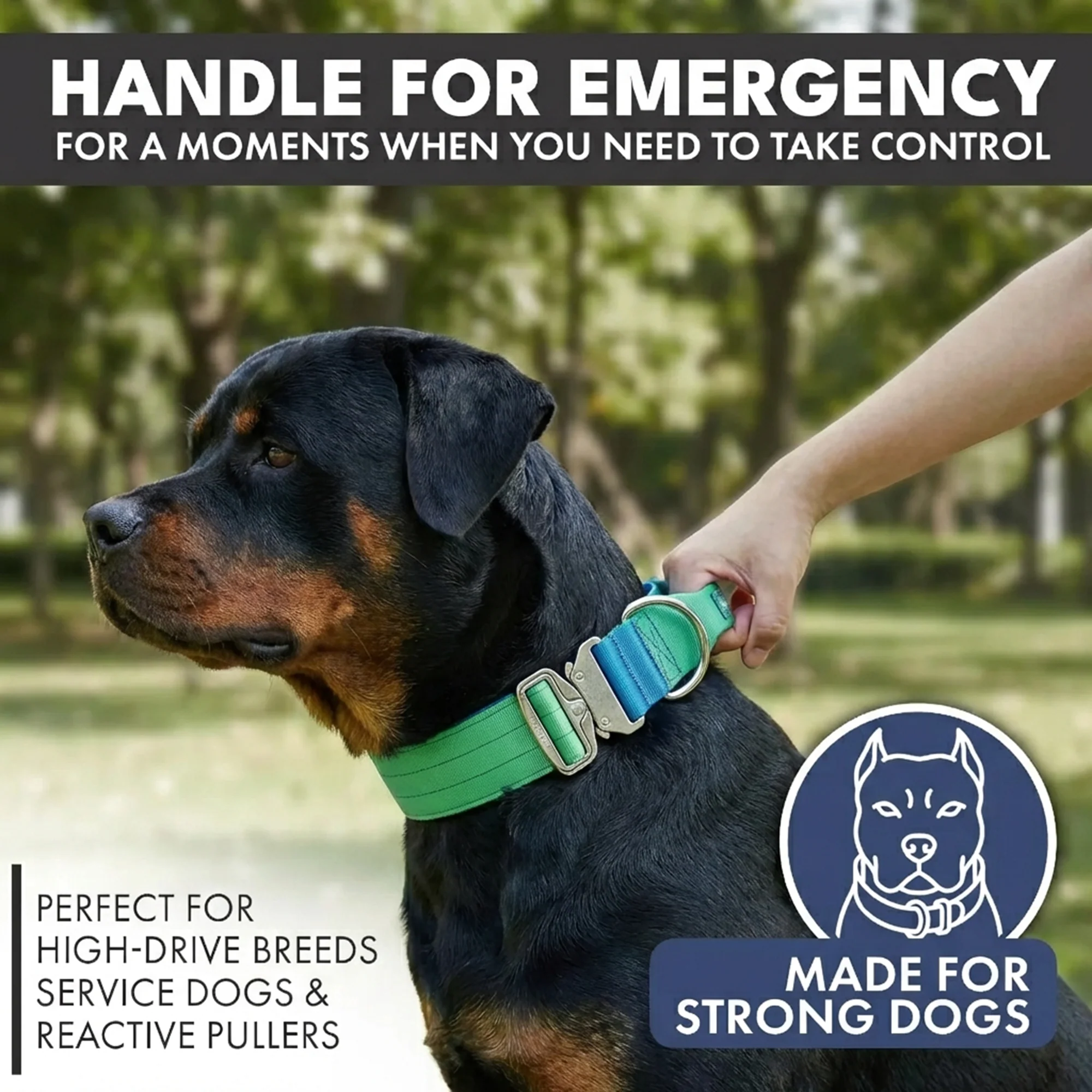 Comfort Control Collar - Lime Wave - Image 3