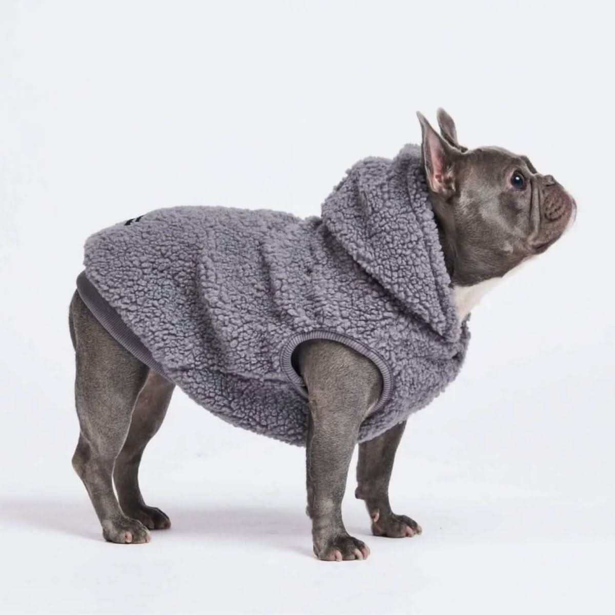 Teddy Sherpa Dog Jackets - Image 18