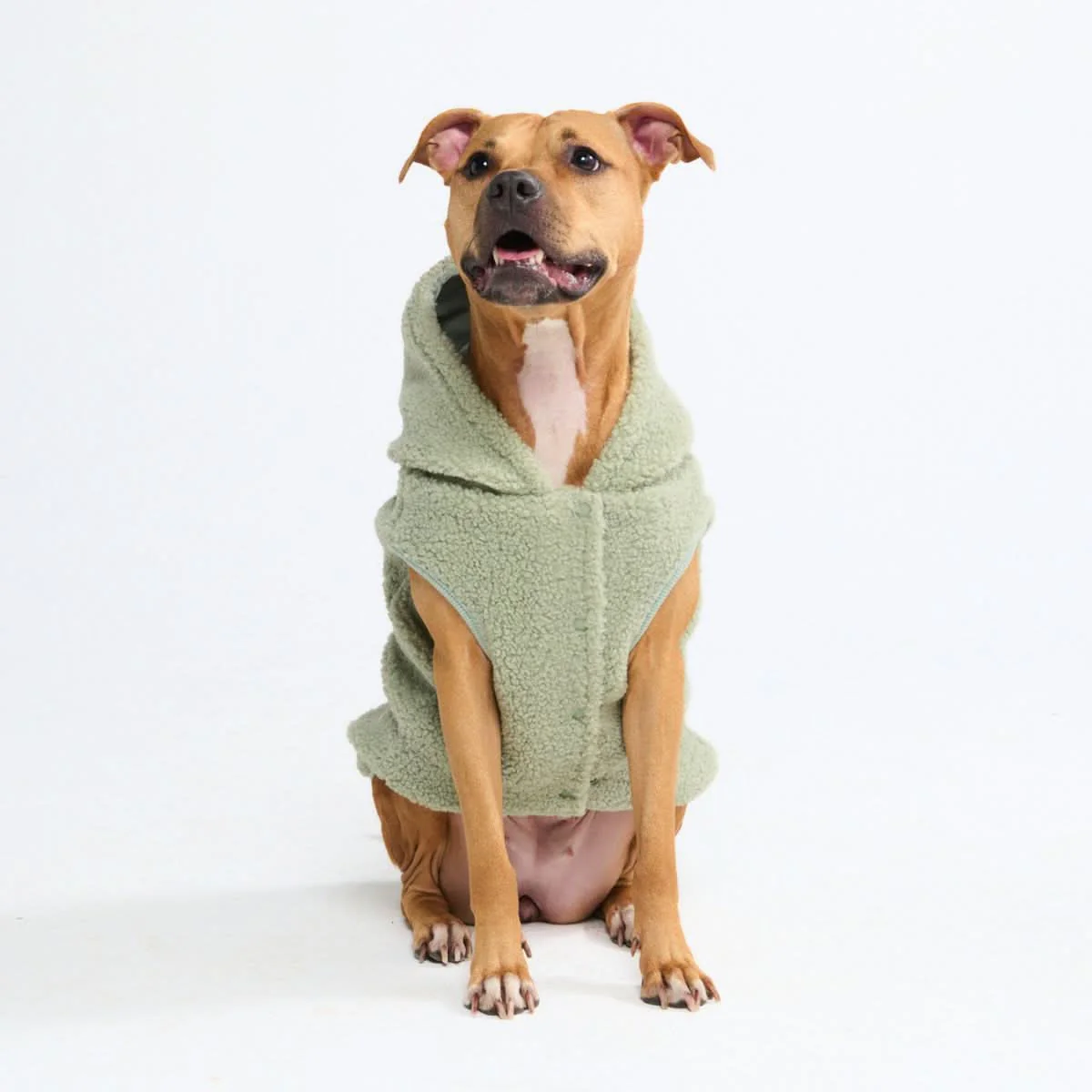 Teddy Sherpa Dog Jacket - Light Green - Image 3