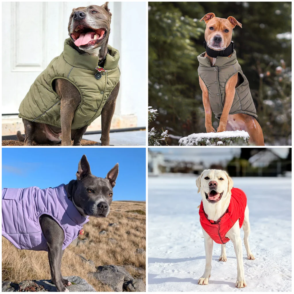 WarmShield Water-Resistant Jacket - Cosmic - Image 11
