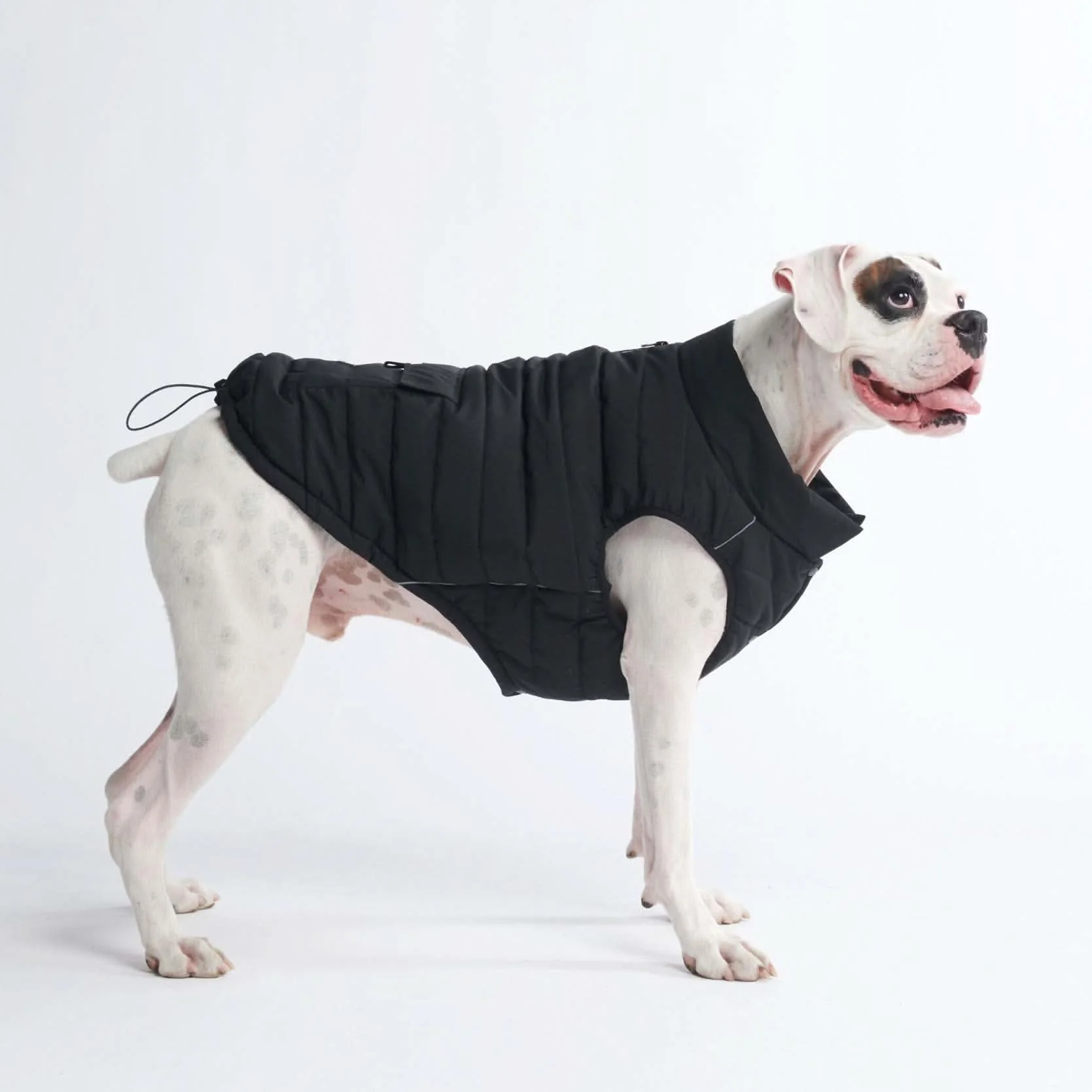 WarmShield Water-Resistant Jacket - Black - Image 7