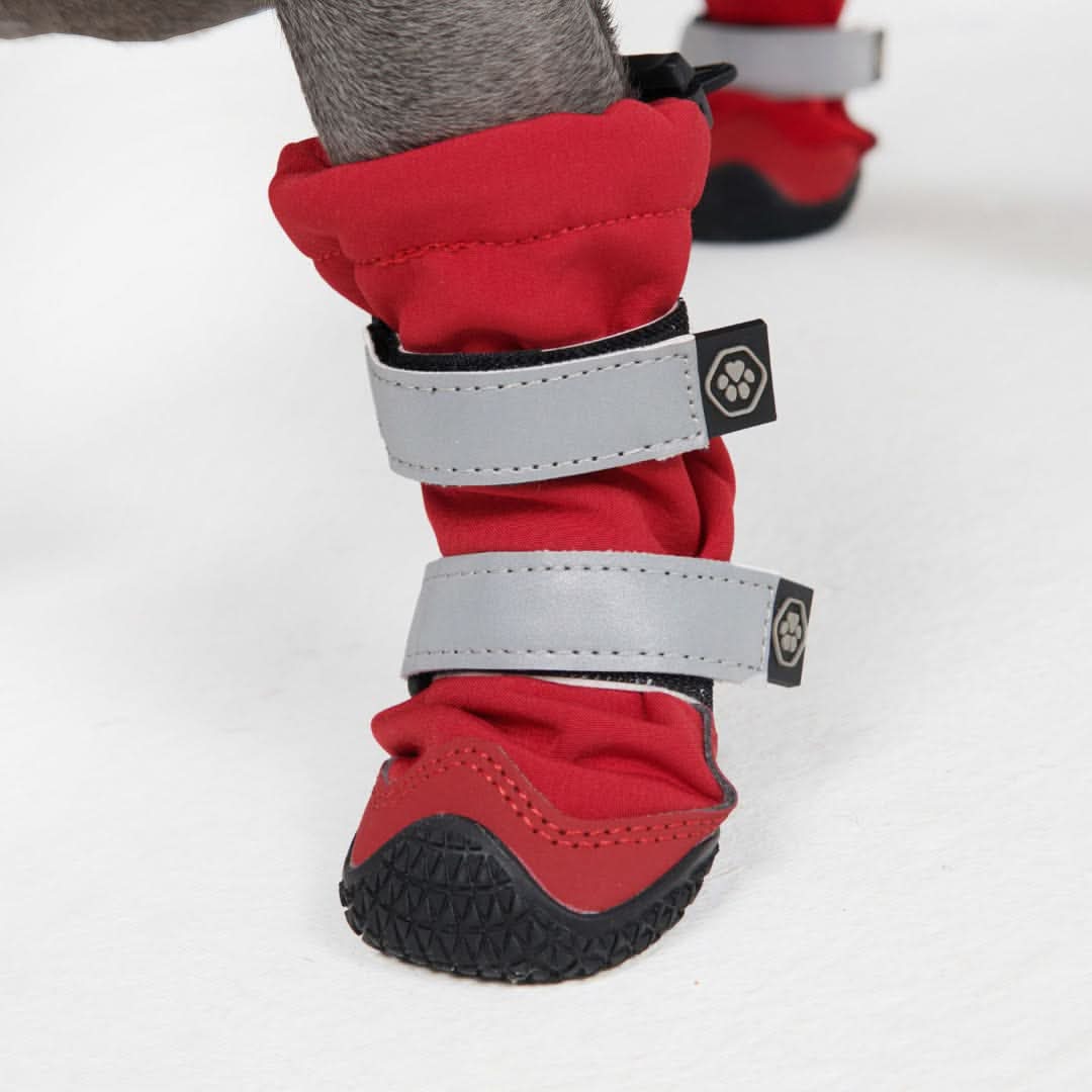 Dog Rainboots, Waterproof Dog Shoes - Image 15