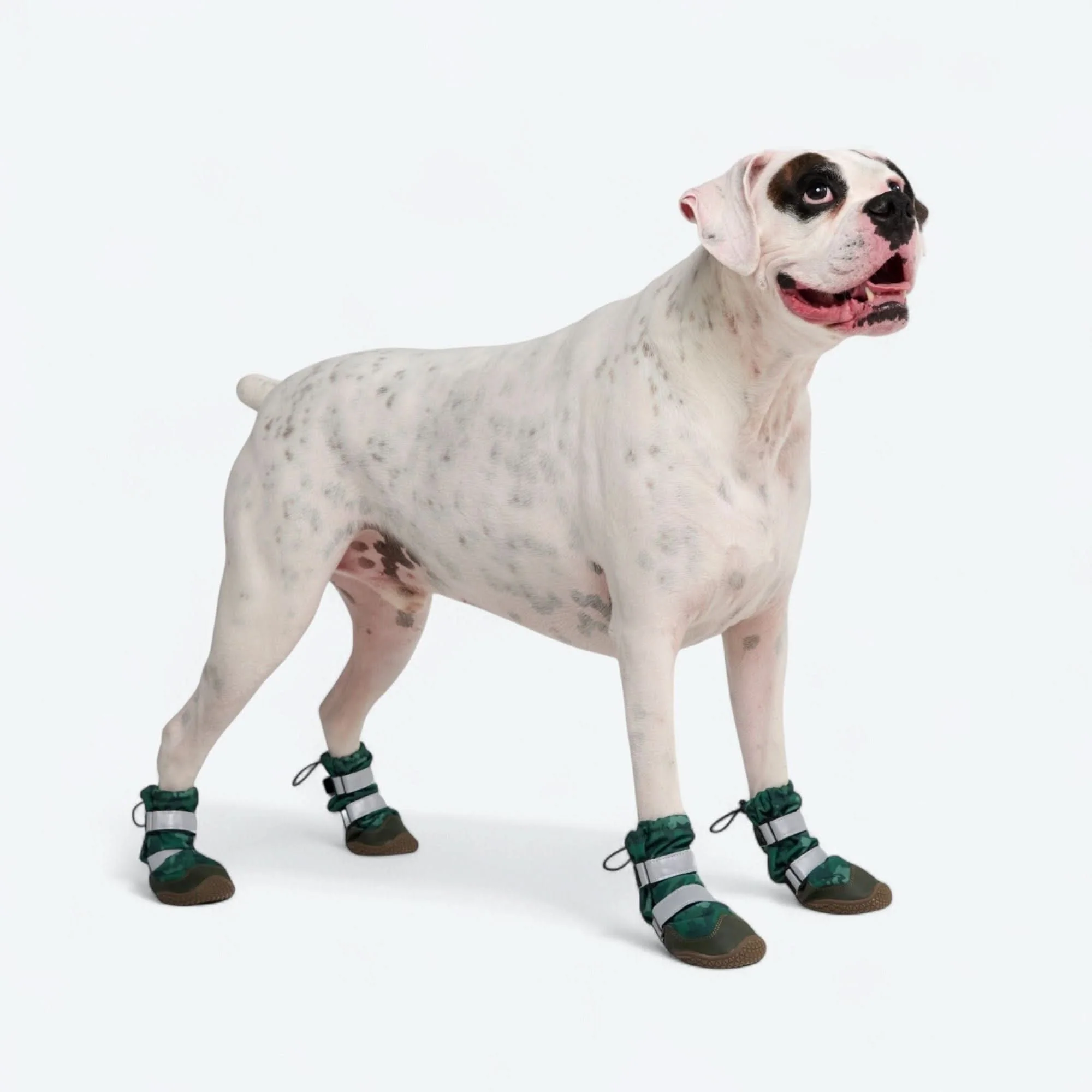 Dog Rainboots, Waterproof Dog Shoes - Image 25