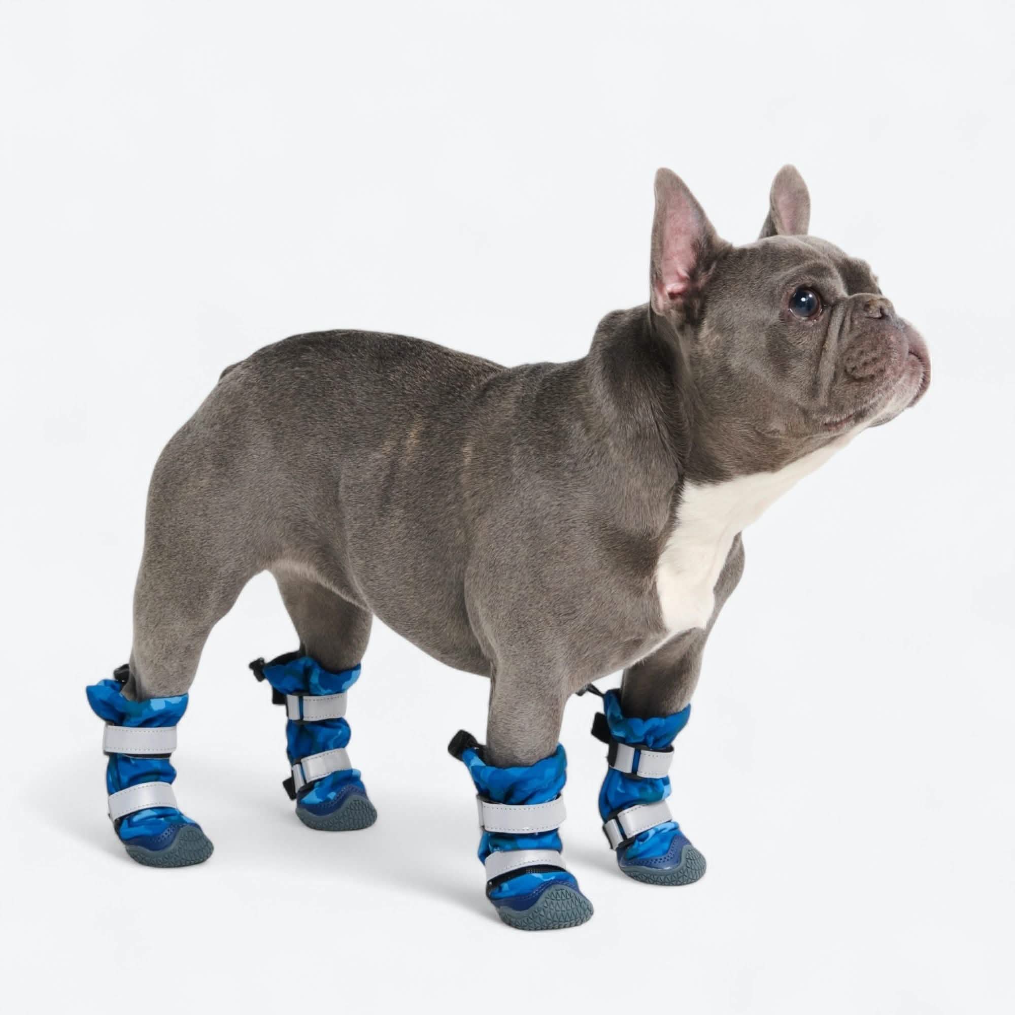 Dog Rainboots, Waterproof Dog Shoes - Image 33