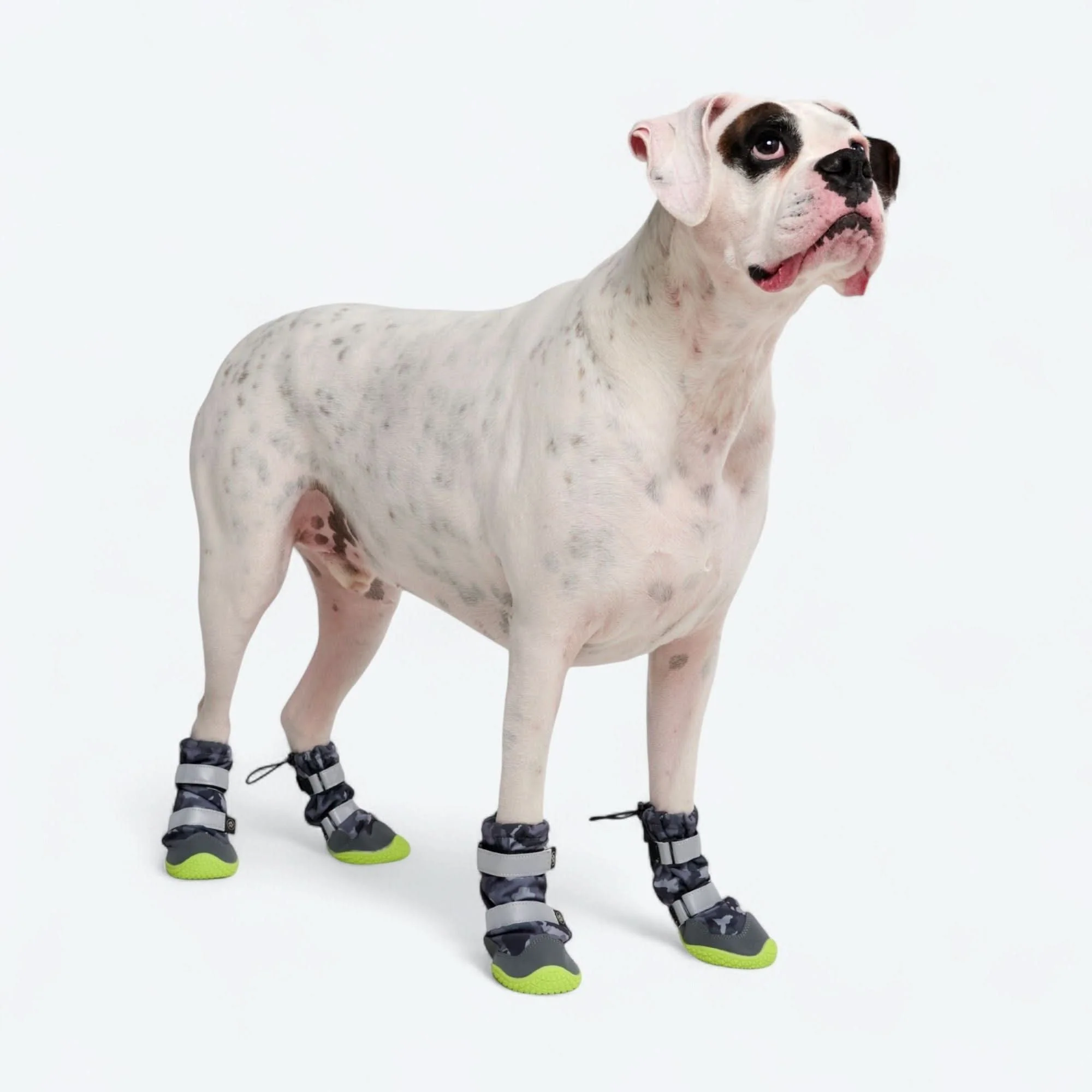 Dog Rainboots, Waterproof Dog Shoes - Image 36