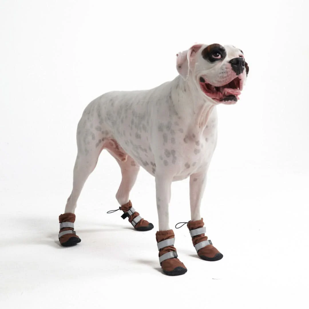 Dog Rainboots, Waterproof Dog Shoes - Image 49