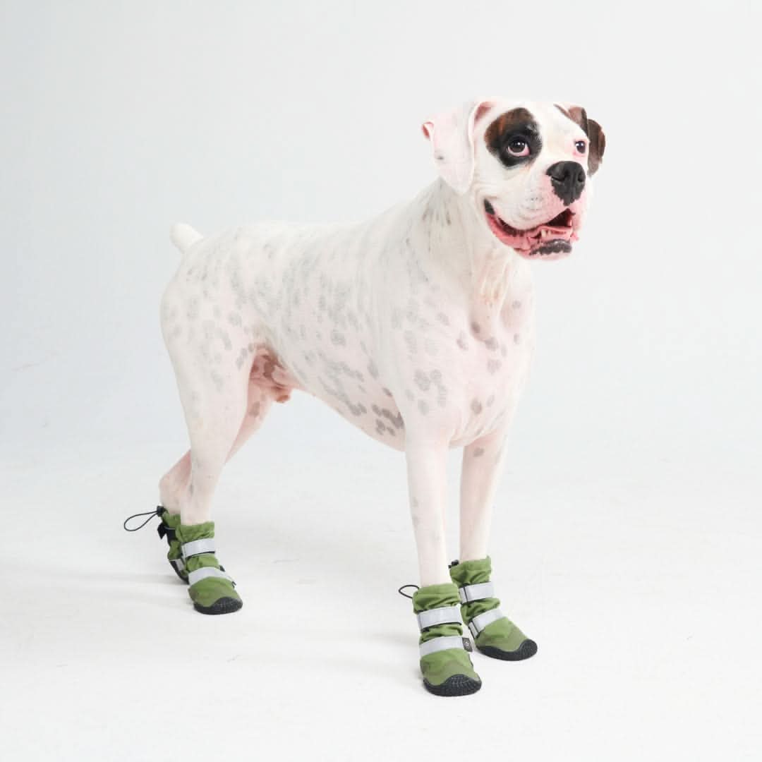 Dog Rainboots, Waterproof Dog Shoes - Image 6