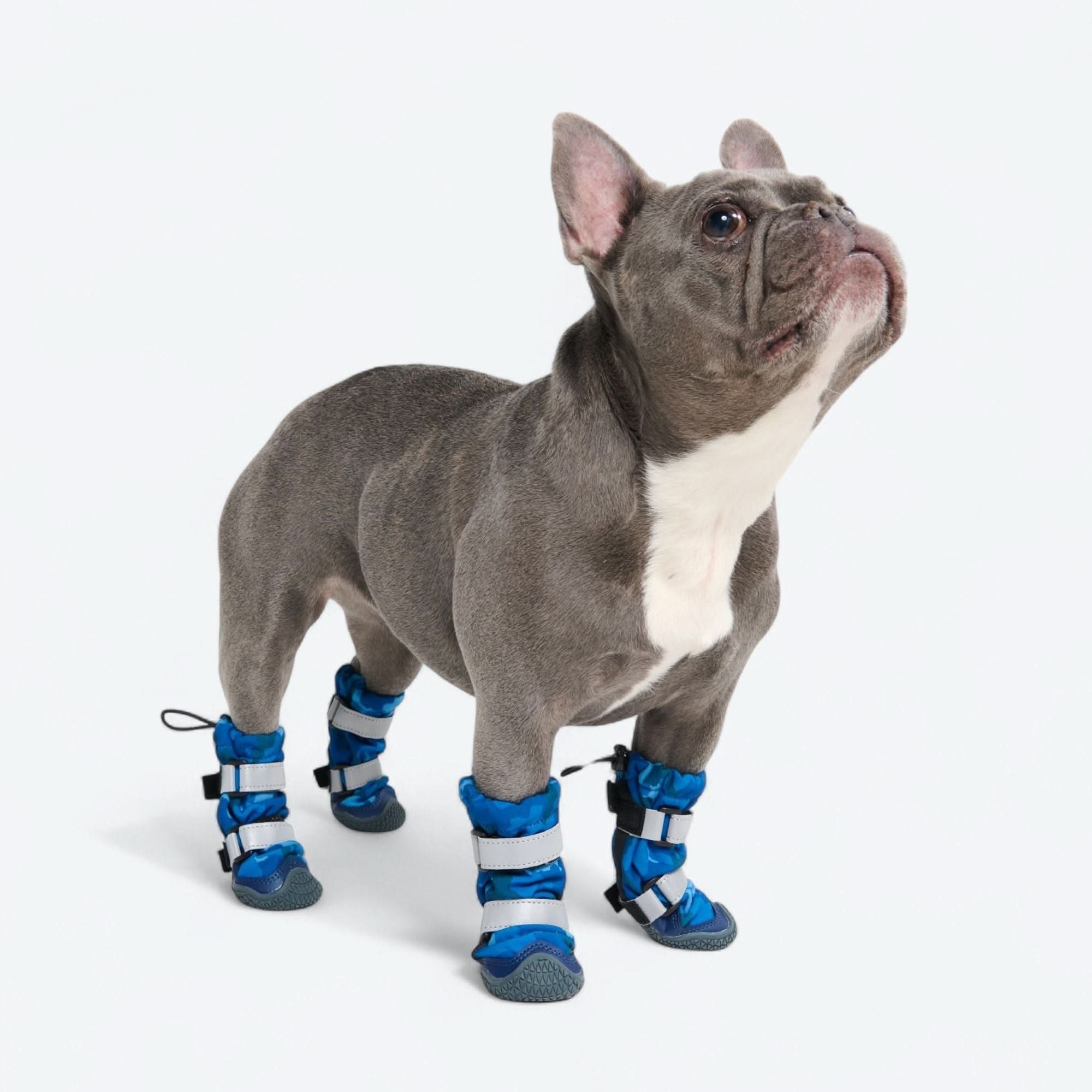 Dog Rainboots, Waterproof Dog Shoes - Blue Camo - Image 7