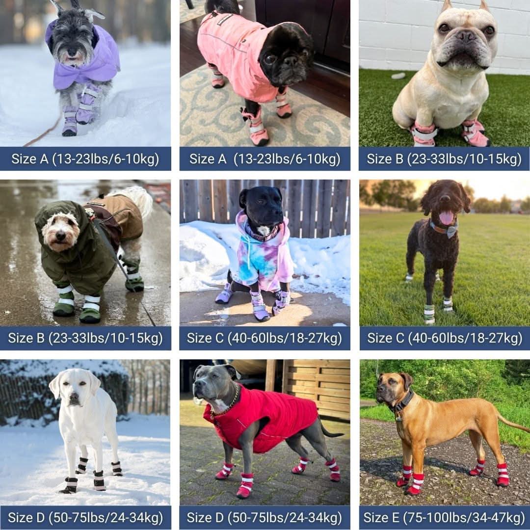 Dog Rainboots, Waterproof Dog Shoes - Image 12