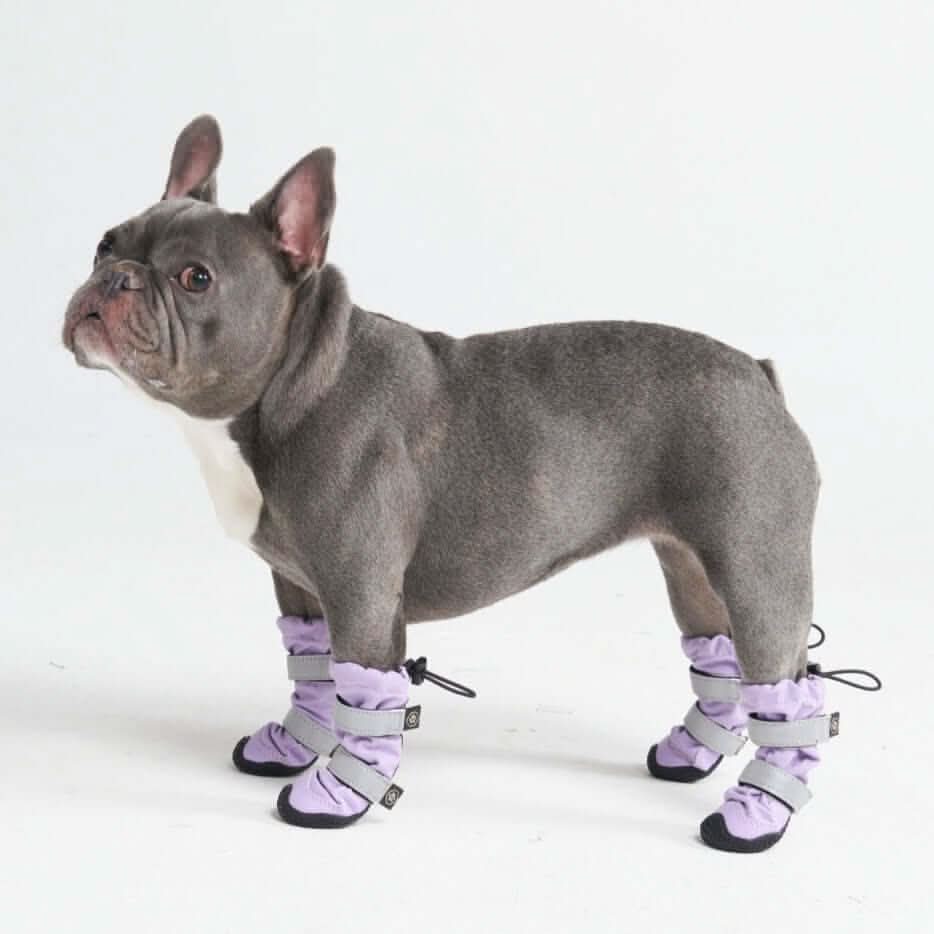 Dog Rainboots, Waterproof Dog Shoes - Image 19