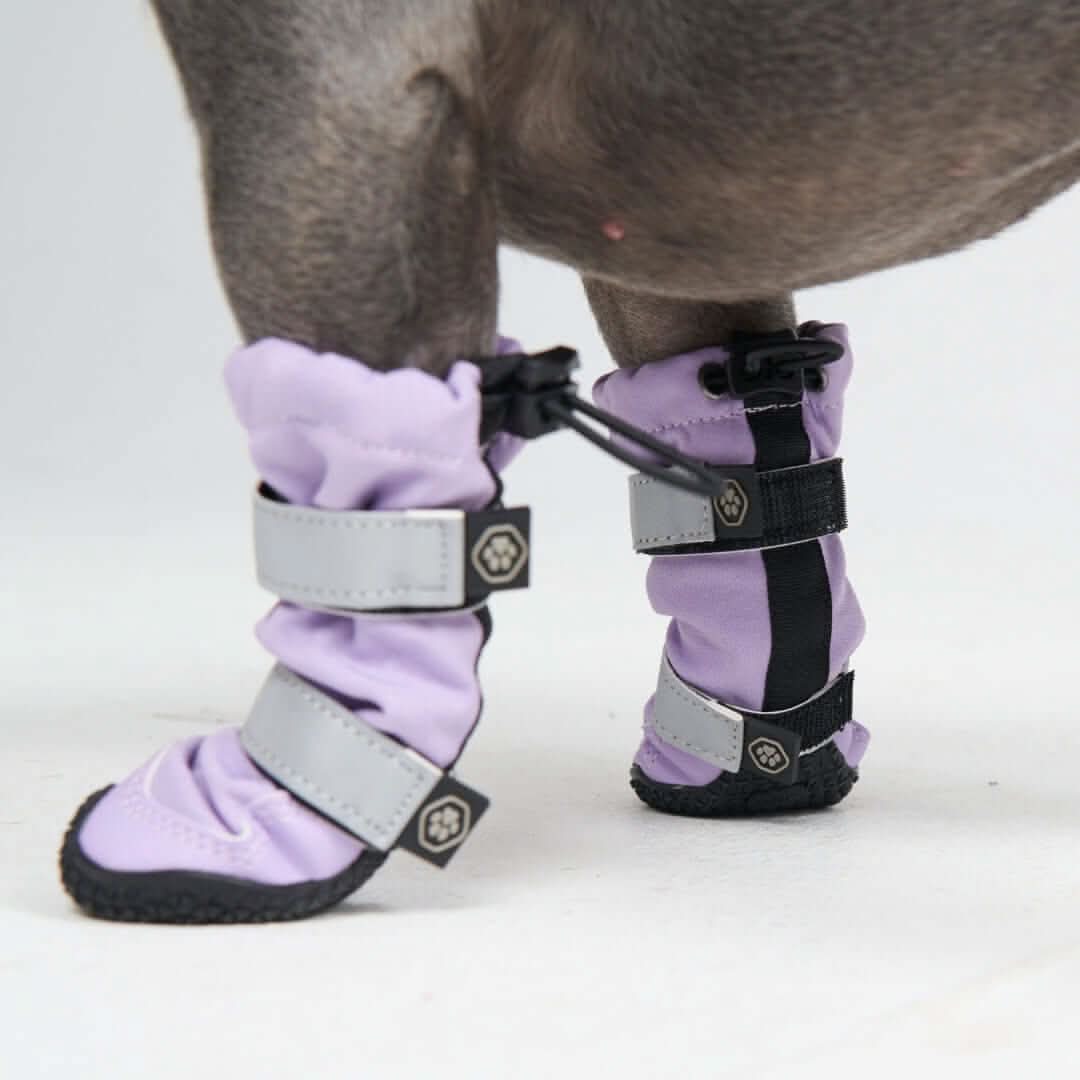 Dog Rainboots, Waterproof Dog Shoes - Image 22