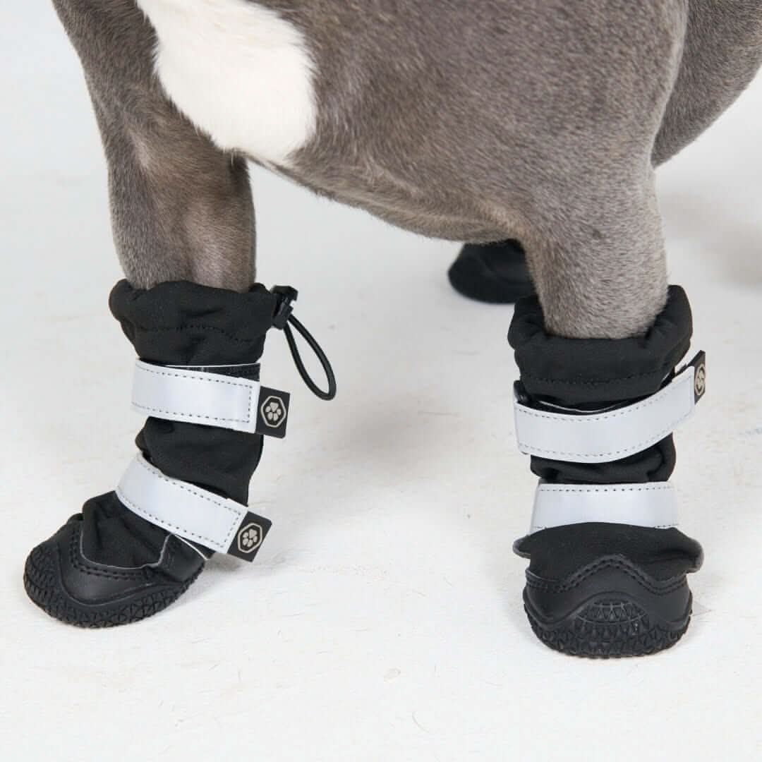 Dog Rainboots, Waterproof Dog Shoes - Image 4