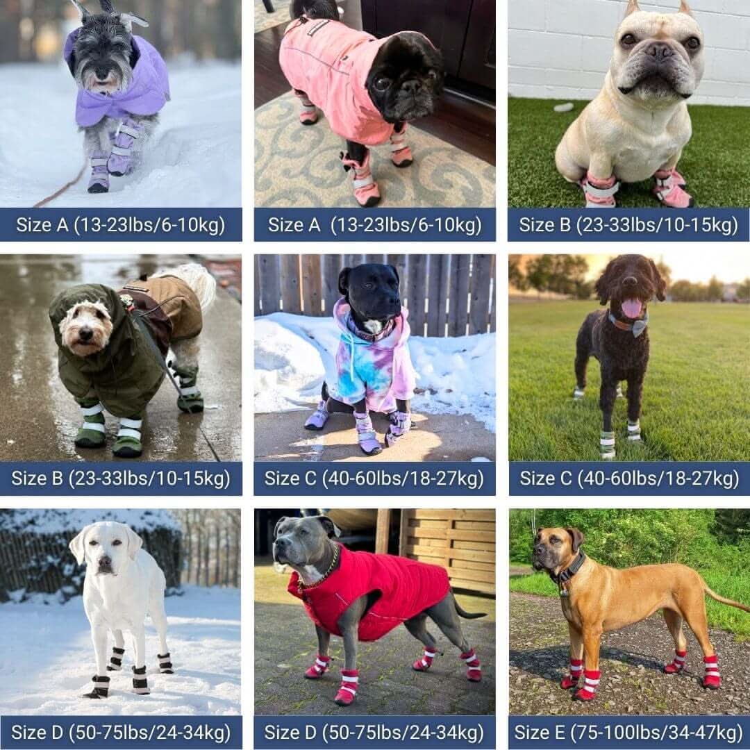 Dog Rainboots, Waterproof Dog Shoes - Image 67