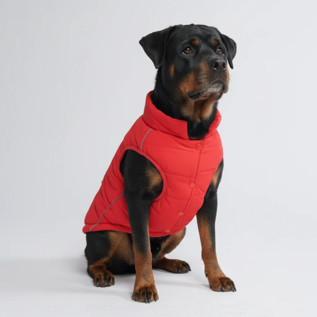 WarmShield Water-Resistant Jackets - Image 81