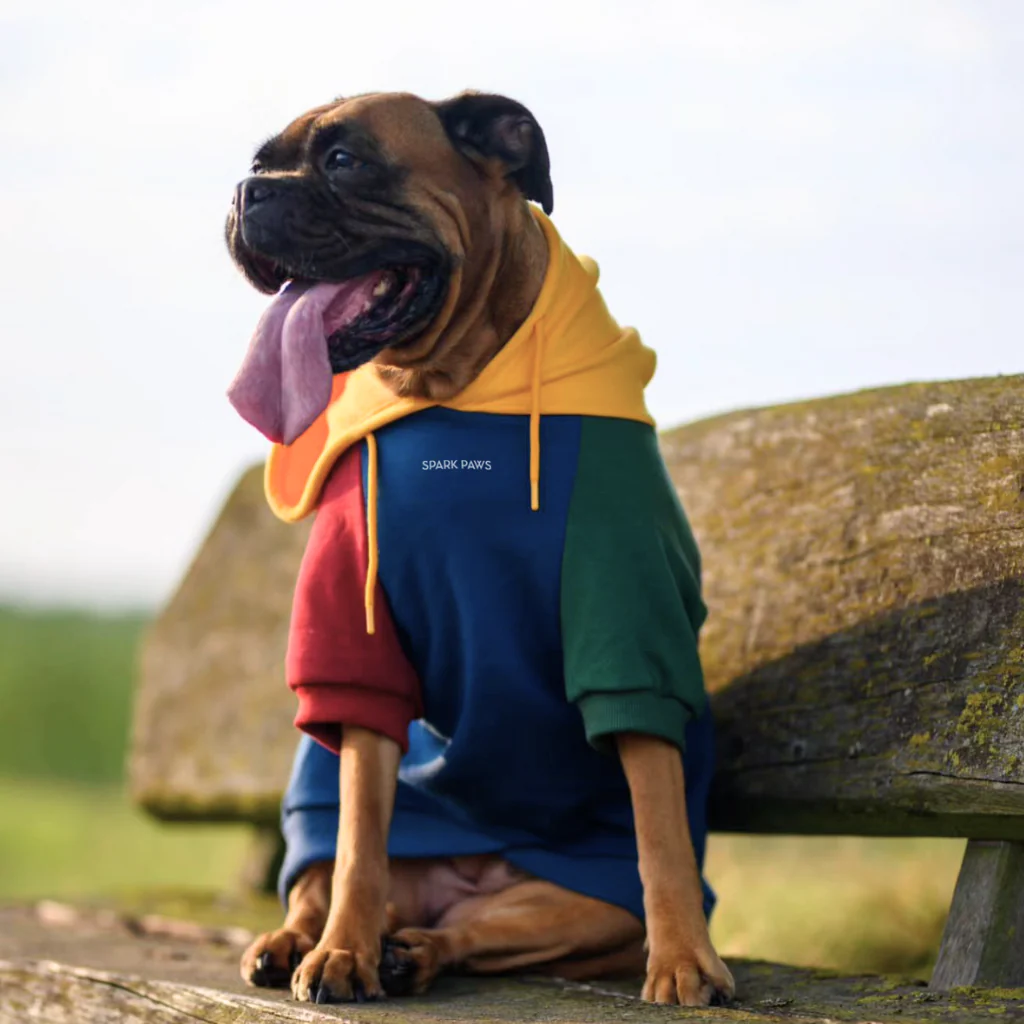 Primary Color Block Dog Hoodie - Image 12